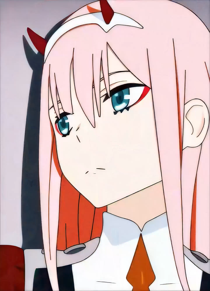 Darling In The Frankss